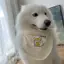 Thú Cưng Chó Nước Bọt Khăn Yếm Dễ Thương Lớn Vừa Chó Nhỏ Samo Golden Retriever Alaska Yếm Yếm Yếm