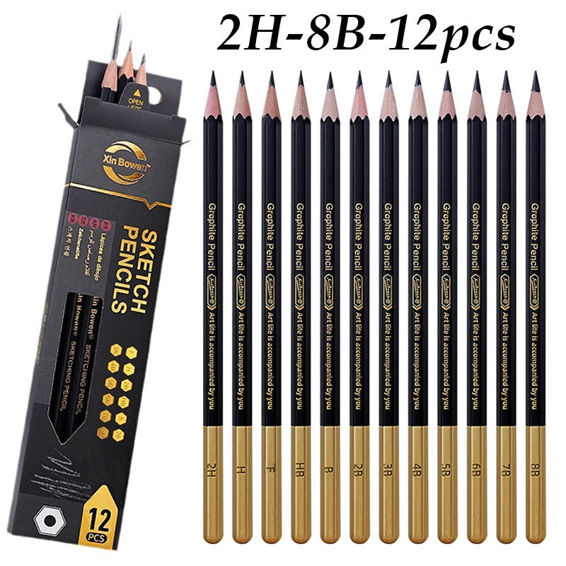 Bộ 12 Bút Chì Than Chuyên Nghiệp Bộ Bút Chì Phác Thảo Màu en 4 Mm Lõi Than Chì Vẽ Cho Học Sinh, Người Mới Bắt đầu & Nghệ Sĩ