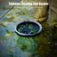 < WHPHous-t > Giỏ đựng cá có thể gập lại nổi Dung tích lớn Hộp đựng mồi sống tròn Hộp đựng tôm để câu cá nước ngọt hoặc nước mặn Đẹp