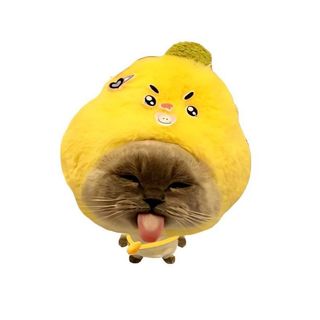 móc khoá mèo trái cây dễ thương