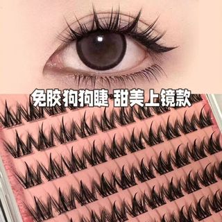 100 Cụm Chó Con Không Keo Dung Tích Lớn ~ Chó Dòng Mắt Chó Lông Mi Giả Lười Tự Nhiên Truyện Tranh Phong Cách 25.12.12