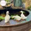 Hodou 3 Chiếc Dễ Thương Trắng Du Thủy Canh Chậu Hoa Sen Nhựa Retro Tượng Điêu Khắc Ngoài Trời Cho Văn Phòng Tại Nhà Bàn Làm Việc Sân Vườn Trang Trí Bàn Làm Việc Trang Trí VN