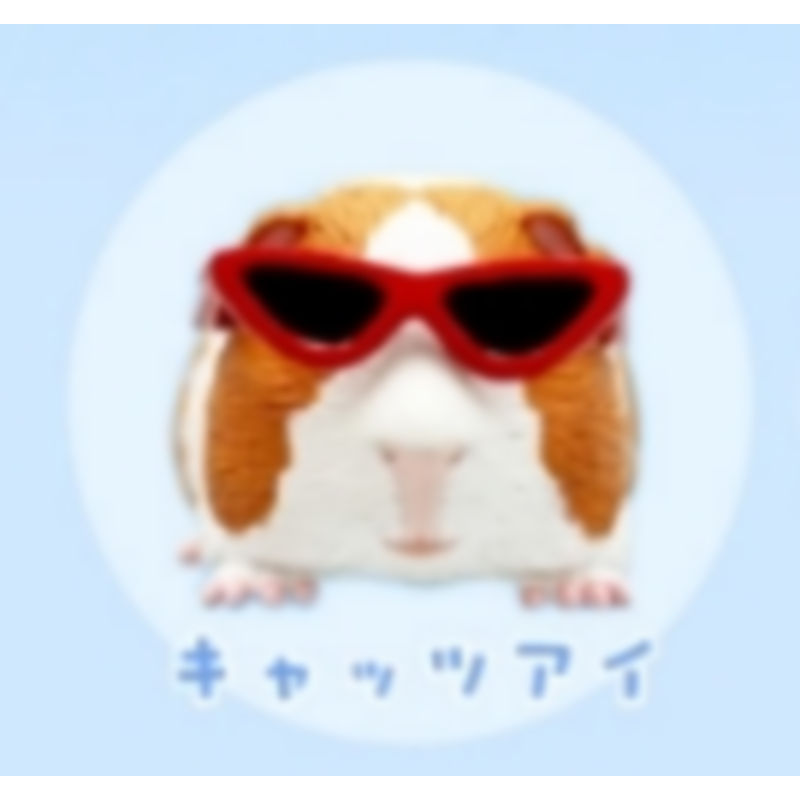 [BTF] Hàng có sẵn Nhật Bản Qitan Gashapon Kính râm Guinea Pig Guinea Pig Hamster Bán thứ hai dễ thương K8F3