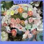 ULJ Hoa Gốm Sứ Jingdezhen Nhiệt Độ Cao Handmade Mô Phỏng Hoa Cuộc Sống Hoa Trang Trí Quà Tặng Sáng Tạo Nhà Furn.
