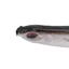 PYCOU 20 Mồi Câu Cá, Mồi Câu Cá Nhân Tạo PVC 7cm, Mồi Câu Cá Đuôi T Mềm Bền Mồi Câu Cá Bass
