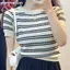 Khung Ảnh Mùa Hè Mới Thời Trang Sọc Tay Ngắn Màu Trơn Đa Năng Giảm Tuổi Giảm Béo Dệt Kim Top Áo Thun VN