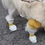 Top Dùng Một Lần Cho Chó Booties Cho Chó Mèo 100 Chiếc Chống Thấm Nước Thoáng Khí Cho Thú Cưng Booties Paws Bảo Vệ Dùng Một Lần Cho Chó Chân Cove