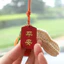 2 Chiếc Trung Quốc Năm Mới Hòa Bình Xe Móc Khóa Hai Mặt Dập Nóng May Mắn Mặt Dây Chuyền Trang Trí Nhỏ