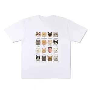 Newjeans Ginger Sea Sparkling Cat Cùng Phong Cách Áo Thun Tay Ngắn Mùa Hè Cotton Nguyên Chất Nửa Tay Hợp Thời Trang Niche Hàng Hóa Hỗ Trợ