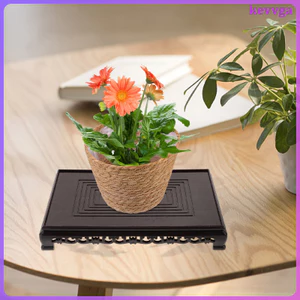 Chậu hoa Giá đỡ chậu hoa Giá đỡ chậu hoa Nhà cây cảnh Đế trưng bày trong nhà kevga