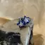 Springevenstar Xu Hướng Xanh Pha Lê Ngôi Sao Pentagram Mini Bông Tai Nữ Thoáng Mát Ngọt Ngào Thẩm Mỹ Bông Tai Thời Trang Y2k Trang Sức Springevenstar