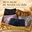 Set of 5 Ladies' Soft Satin & Lace Panties, Elegant Bow-Designed Mid-Rise Underwear Bundle