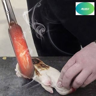 Dụng Cụ Khò Đốt Lông Heo, Máy Thui Chân Giò Da Lợn, Làm Sạch Lông Nhanh, Dễ Sử Dụng, Phù Hợp Gia Đình & Quán Ăn