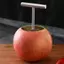 JCSYFAC Cơm Bóng Khuôn Trái Cây Core Digger Pear Core Coring Cutter Thép Không Gỉ Lõi Trái Cây Pitter Tách Cho Phụ Kiện Nhà Bếp Mới