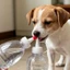 10 Cái / 20 Chiếc Mới Đa Năng Bóp Nắp Chai Thay Thế Nắp Vòi Phun Chống Rò Rỉ Cho Nước Sốt Dầu Gia Vị Chai
