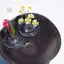 Maybest 6 / 10 Chiếc Giá Đỡ Sắp Xếp Hoa Nổi Trong Suốt Chân Đế Hoa Thủy Canh Bát Trồng Nước Trang Trí Nhà Cửa {VN}