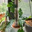 Mới 1 / 2 Miếng Dán Hỗ Trợ Cây Leo Núi Cực Rêu Có Thể Slicable Cho Monstera Pothos