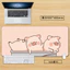 Hoạt Hình Màu Hồng Dễ Thương Lợn Lớn Miếng Lót Chuột XXL Kawaii Để Bàn Cho Bé Gái Bề Mặt Bàn Phím Chống Trơn Trượt Sáng Tạo Cho Chơi Game & Văn Phòng