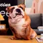 DARON Chó Sang Trọng Đồ Chơi, Labrador Corgi Sofa Phòng Ngủ Chó Nhồi Bông Gối, Thú Cưng Người Yêu Sống Động Như Thật Trang Trí Nhà Mô Phỏng 3D Đệm Chó Thú Nhồi Bông