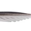 PYCOU 20 Mồi Câu Cá, Mồi Câu Cá Nhân Tạo PVC 7cm, Mồi Câu Cá Đuôi T Mềm Bền Mồi Câu Cá Bass