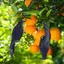 Giả Crow Giả Decoy Raven 12 Inch Handmade Nhân Tạo Chim Mẫu Cho Halloween Đạo Cụ Bãi Cỏ jiwvn