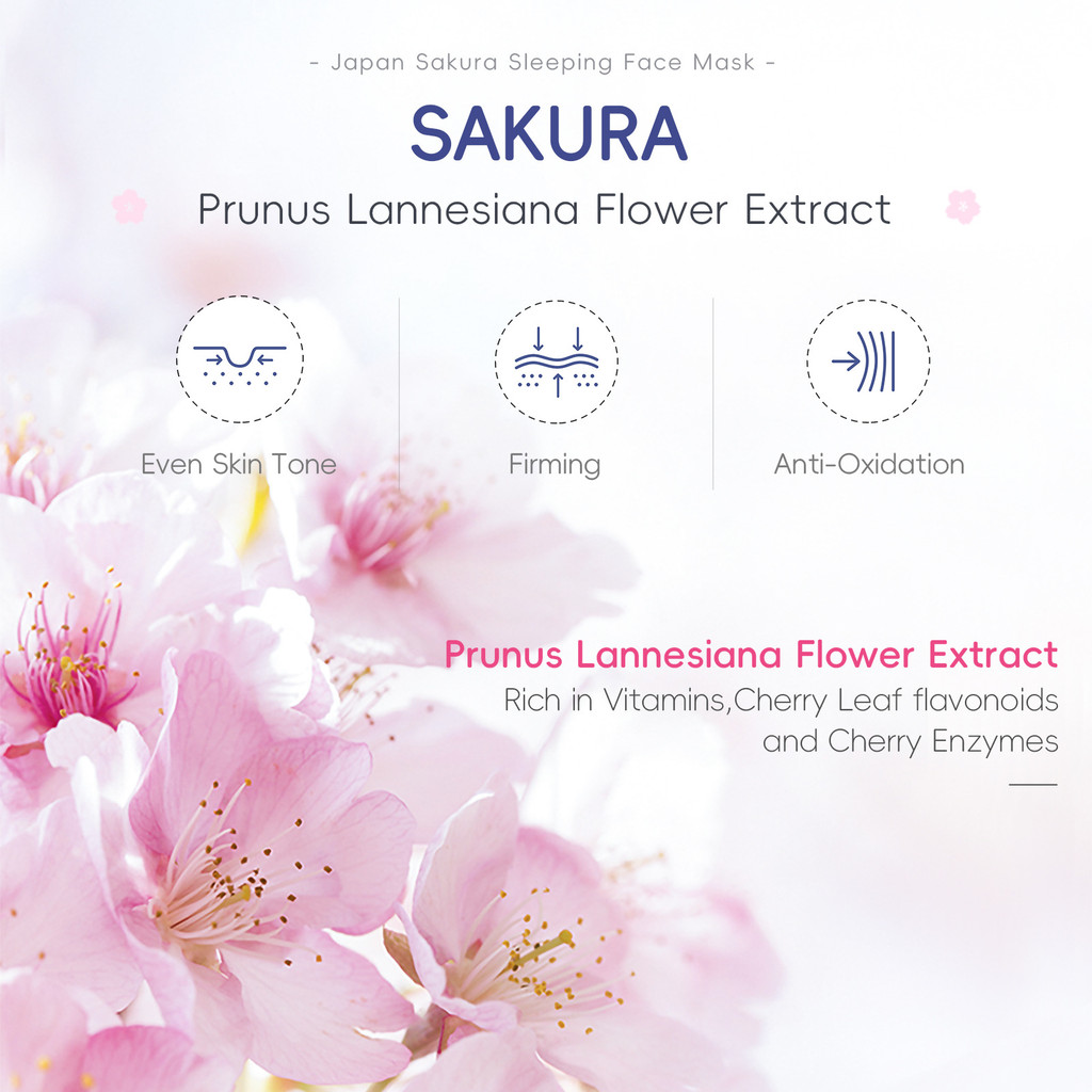 LAIKOU LAIKOU Cherry Blossom Sleeping Mask Sheet 1 Piece 3g Làm sạch lỗ chân lông Mặt nạ ngủ tiếng Anh đầy đủ