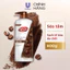Sữa Tắm Lifebuoy Chai 800g – Sạch Khuẩn, Bảo Vệ Da Cho Cả Gia Đình