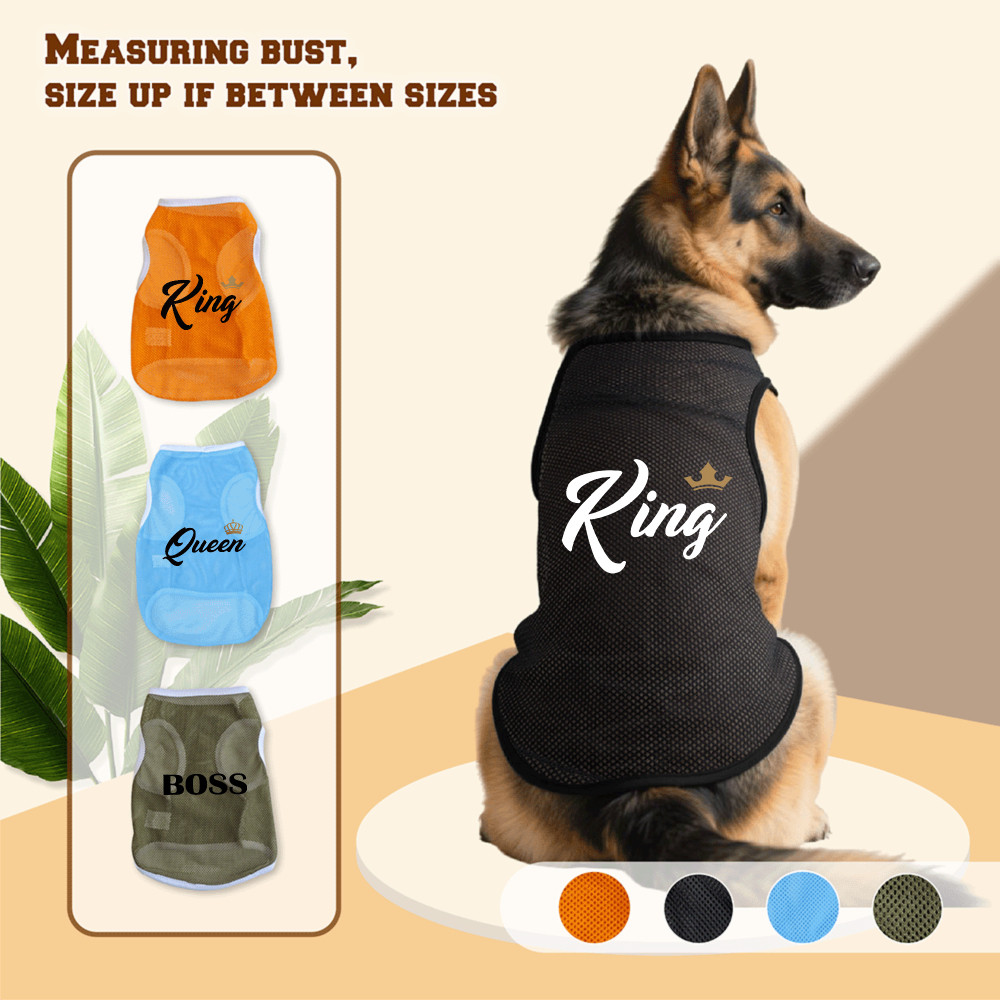 Áo vest lưới chó lớn 3XL-6XL, Boss, King, Queen in, phong cách chui đầu, có 4 màu, thoải mái và thoáng khí, có thể giặt được bằng máy, thích hợp cho tất cả chó lớn