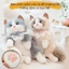 Balo thú bông mèo ragdoll giả – Túi đeo dễ thương đồ chơi sang trọng cho bé
