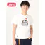 Áo thun ngắn tay đơn giản mùa hè CHUMMS 100% Cotton cao cấp in hình cắm trại cho nam và nữ0515