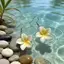 PNPIA- Bông Tai Hoa 3D Boho Cho Nữ Nhẹ Nhiều Màu Sắc Nhựa Thả Hoa Tòn Ten Cho Mùa Hè Đi Biển Đảng Và Quà Tặng