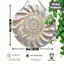 HELLOYOUNG Vintage Shell Gỗ Nghệ Thuật Treo Tường, Xoắn Ốc Mẹ Ngọc Trai Trang Trí, Handmade Tròn Nhà Quà Tặng