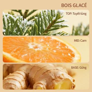 ‌Uilicy Dầu Gội Chống Rụng & Sữa Tắm Cánh Hoa: Ngăn rụng tóc, làm trắng da từ tinh chất hoa hồng, dịu nhẹ & thơm sang.