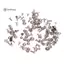< WHPHous-t > 100 Chiếc Vít Đồng Hồ Đa Kích Thước Hỗn Hợp Chính Xác Nhỏ Đa Kích Thước Dụng Cụ Sửa Chữa Chuyển Động Một Phần Cho Đồng Hồ Đẹp