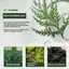 < Honeyba > 120g Usman Grass Handmade Xà Phòng Làm Sạch Hiệu Quả Da Đầu Tăng Cường Rễ Tóc Giảm Rụng Tóc Xà Phòng Thực Vật Đẹp