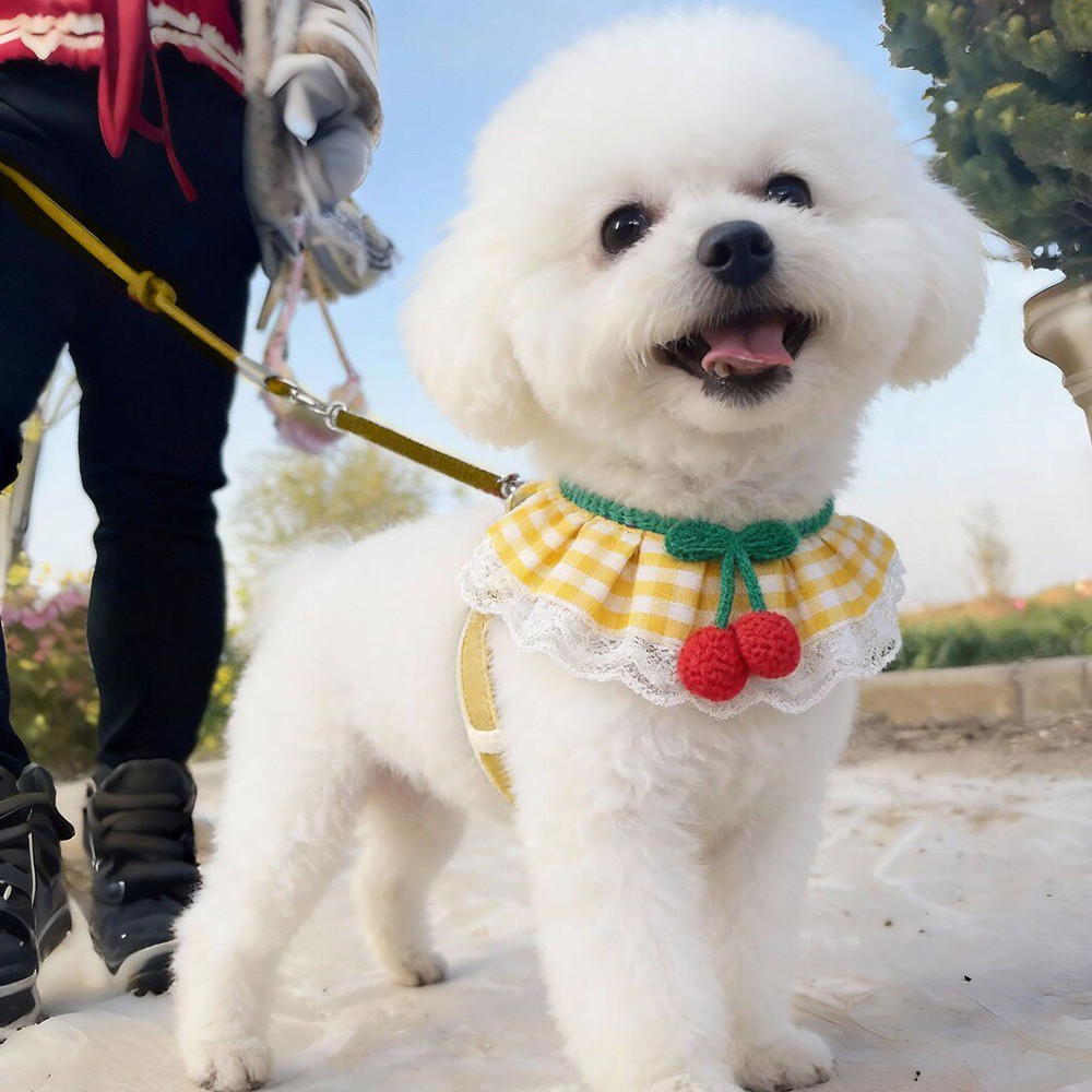 Dây kéo cho chó Dây đeo ngực Tương tự Khăn ren Dây đeo ngực Mèo Vest Phong cách Pomeranian Teddy Bichon Dây đi bộ cho chó nhỏ Dây xích chó cỡ vừa