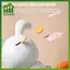 SWEET Bunny Piggy Bank Hình Hộp Tiết Kiệm Tiền Tượng Động Vật Thủ Công Hộp Tiết Kiệm Cho Kệ Nhà Để Bàn Phòng Ngủ Quà Tặng Sinh Nhật n