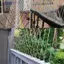 Chim Repeller Chim Chim Pigeon Spikes Chống Chim Chống Bồ Câu Spike Để Thoát Khỏi MỚI