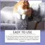 Xịt chống trầy xước mèo 50ml Bảo vệ nội thất tự nhiên Stay Away Cat Anti Scratch Spray cho thảm Couch mueadsyvn