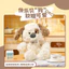 Spike Price MINISO MINISO MINISO MINISO Sang Trọng Búp Bê Đồ Chơi Búp Bê Dễ Thương Quà Tặng Búp Bê