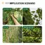 JCSYFAC Lưới leo núi Nylon Vườn 2x5M Hỗ trợ hạng nặng cho dưa chuột Rau nho Lưới tăng trưởng thực vật dọc Mới