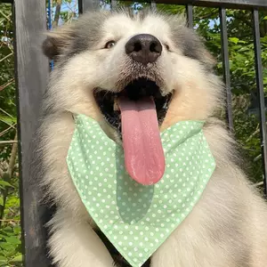 Thú Cưng Chó Xanh Nhỏ Tròn Tam Giác Khăn Nước Bọt Khăn Lớn Vừa Chó Nhỏ Alaska Satsuma Khăn Cho Chó