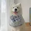 Samoyed Vừa Lớn Chó Nước Bọt Khăn Khăn Cho Chó Nước Bọt Túi Yếm Yếm Trang Sức Thú Cưng Yếm Dễ Thương