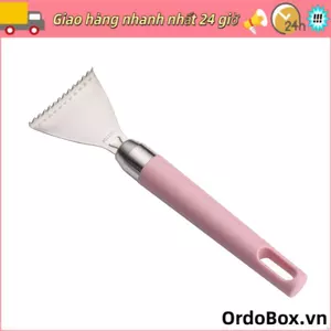 Dụng cụ tẩy vảy cá ORDOBOX, Dụng cụ cạo vảy cá mịn bằng thép không gỉ, Tay cầm ABS Dụng cụ hải sản nấu ăn