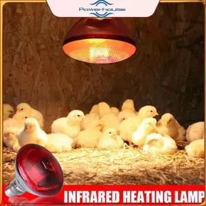 POWER 275W Đèn sưởi hồng ngoại gia cầm Chống thấm nước Bóng đèn thiên thần chống nổ ​Dành cho đèn sưởi Piglet Chien Du Birds E27.