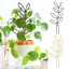 VVDZA Cây Trellis, Khung Leo Sân Vườn Thiết Kế Hình Lá Chống Rỉ, Nhựa Bền Hỗ Trợ Cho Cây Nho Trong Chậu Hoa Trellis Trong Nhà Ngoài Trời