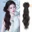 DELMER Móng Vuốt Kẹp Tóc Giả Đuôi Ngựa, Phong Cách Cổ Cổ Thấp Đuôi Ngựa Tóc Giả Phong Cách Mới, Hợp Thời Trang Hanfu Nhẹ Nhàng Đuôi Ngựa Xoăn Dài Tự Nhiên Cho Nữ