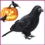 Con quạ chết Decoy Kích thước sống động Hình chim Halloween thực tế Mô phỏng Tượng quạ cho sân hiên hiên hiên cửa hàngidaevn