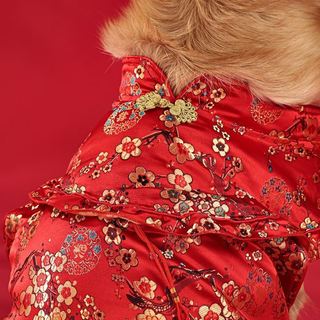✅ dam tét cho chó ✅ Pet độc quyền Trong Kho Lễ hội Áo Choàng Năm mới ăn mặc Mùa thu và mùa đông ♒Chó Lớn Đặc Biệt Năm Mới Quần Áo Tang Áo Mỏng Sườn Xám Váy Bên Động Vật Chăn Nuôi Golden Retriever Labrador❈