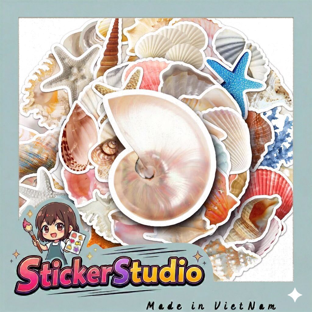 sticker các vỏ ốc và sinh vật biển
